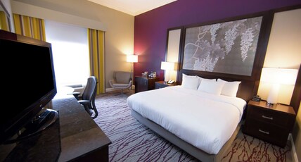 DoubleTree by Hilton Historic Savannah Room Type - 1KNG MOB HEAR ACC W TUB NS