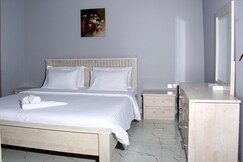 PARIS FURNISHED APARTMENTS L.L.C