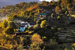 Omya Forest Camps | Bonfire | Trek