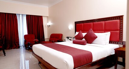 Joys Palace (Hi-Luxury Business Hotel) Room Type - Deluxe Room