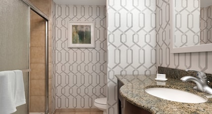 Hampton Inn & Suites Wilkes-Barre/Scranton Room Type - 1 KING BED - SHOWER ONLY