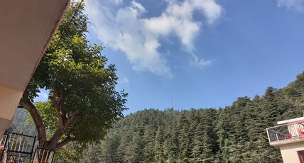 Shimla Pines |Rooms & Kitchen Room Type - Fores t-view Deluxe Room