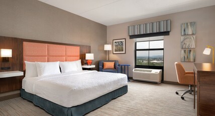 Hampton Inn & Suites Wilkes-Barre/Scranton Room Type - 1 KNG ACC ROLLIN SHWR NS