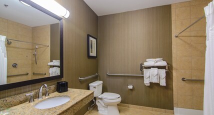 Holiday Inn ARLINGTON NE-RANGERS BALLPARK Room Type - 1 King Standard Mobil Access Roll Shower