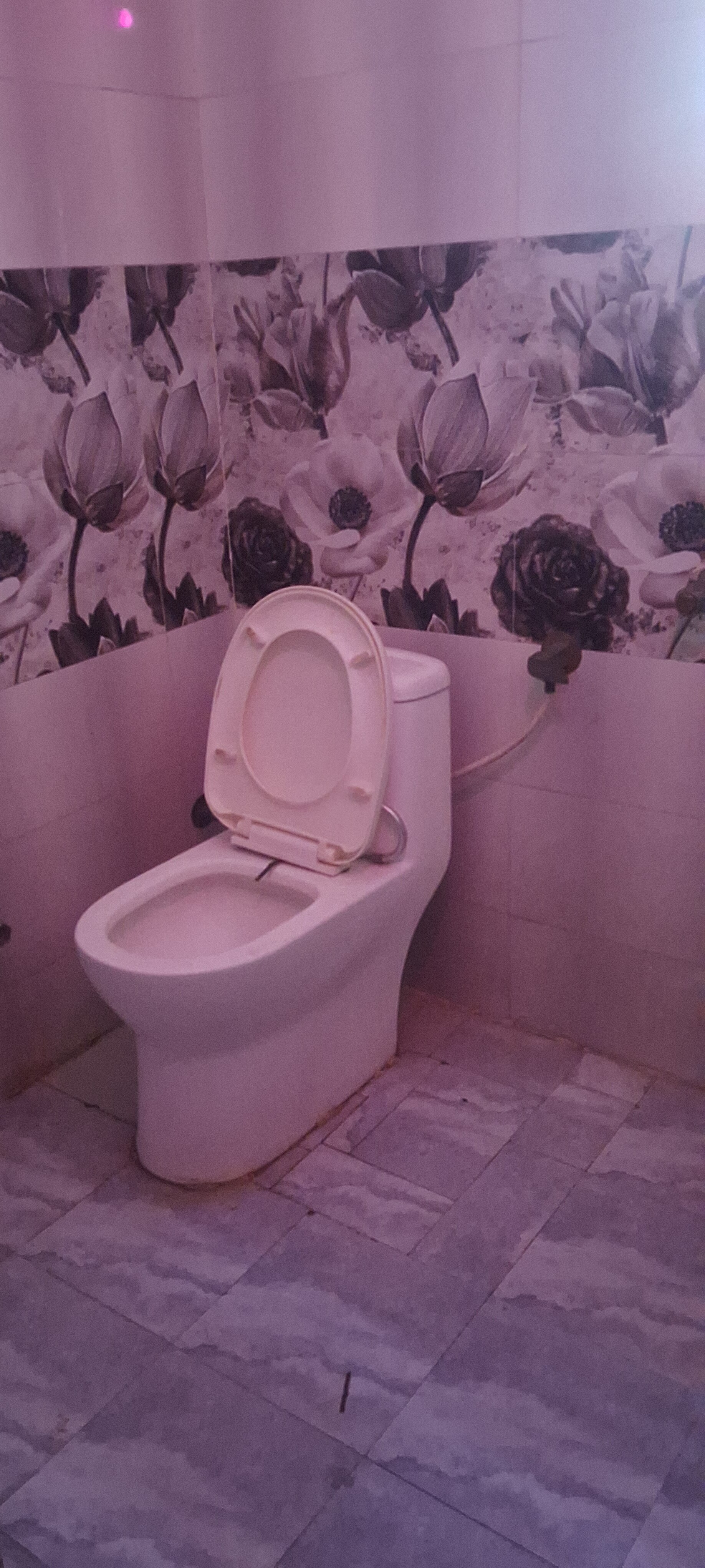 Divya PG - Tap to explore photos