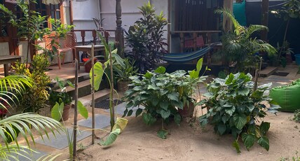 Tropical Bay Room Type - Family Cottage