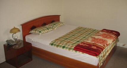 Hotel Green Park Room Type - DELUX ROOM