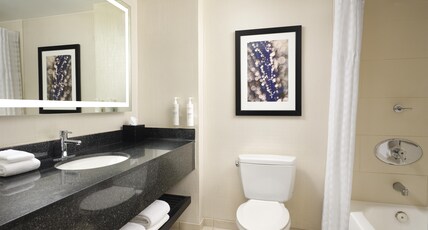 Embassy Suites Chicago Downtown Magnificent Mile Room Type - 1 KING STE PREM RM NONSMOK