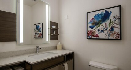 Hilton Garden Inn Hattiesburg Room Type - 1 KING MOB HR ACC RI SHWR