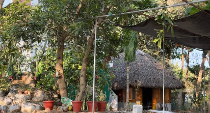 Wooden Villa Room Type - Wooden Villa
