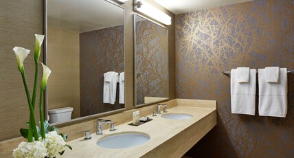 DoubleTree by Hilton Hotel Golf Resort Palm Springs Room Type - 2QN MOB HEARING ACC TUB