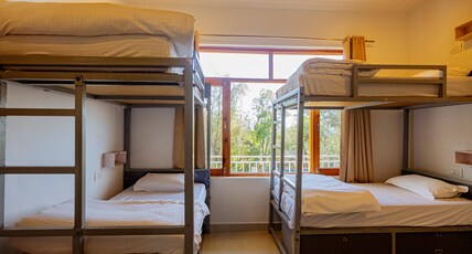 TLO Bir Room Type - 4-BED Mixed Dorm Valley View