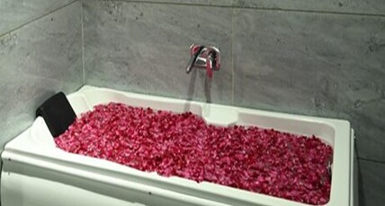 Ghanshyam Resort Room Type - Suite Room