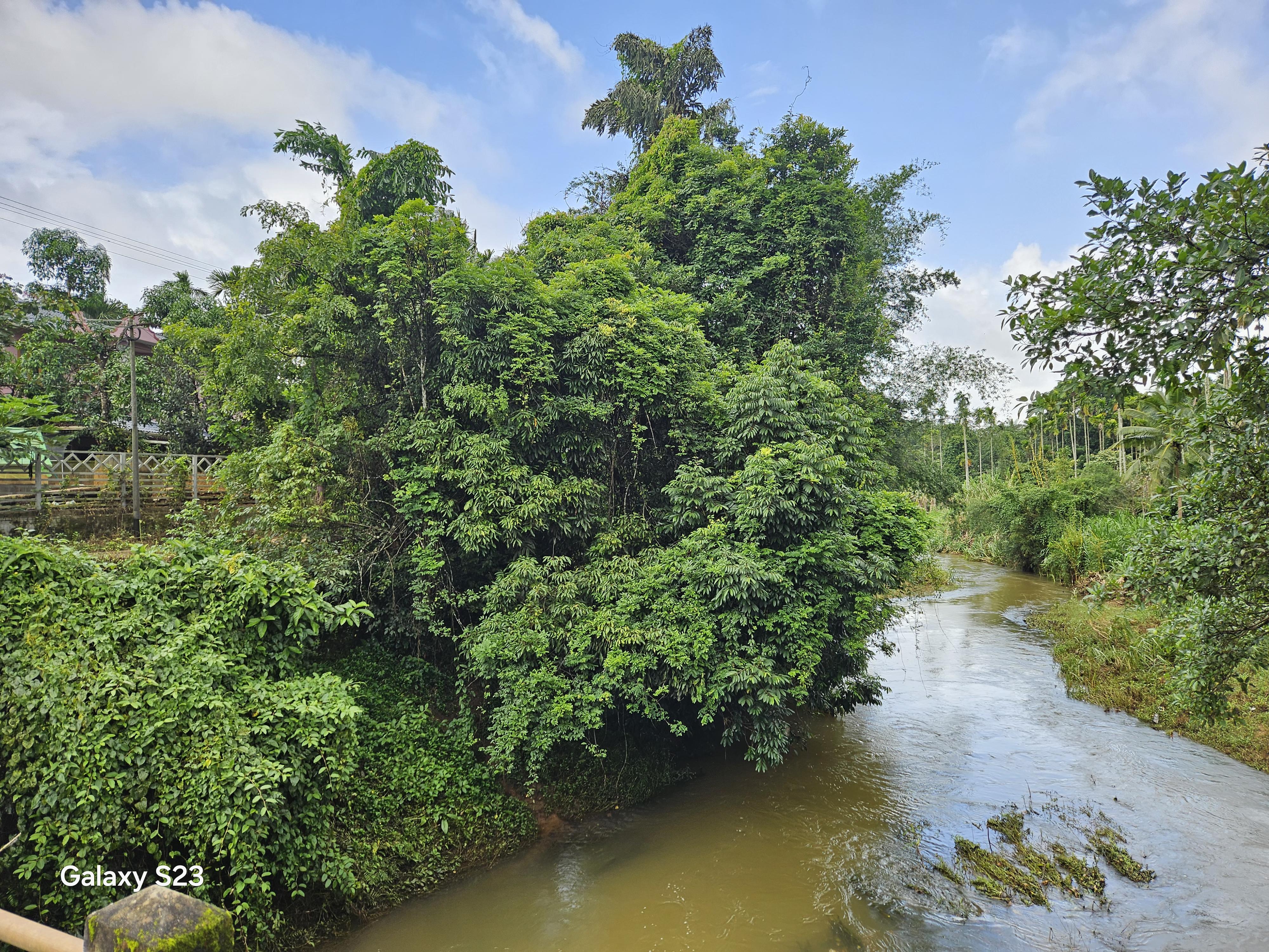 Puzhayoram Home Stay & Service Villas. - Tap to explore photos