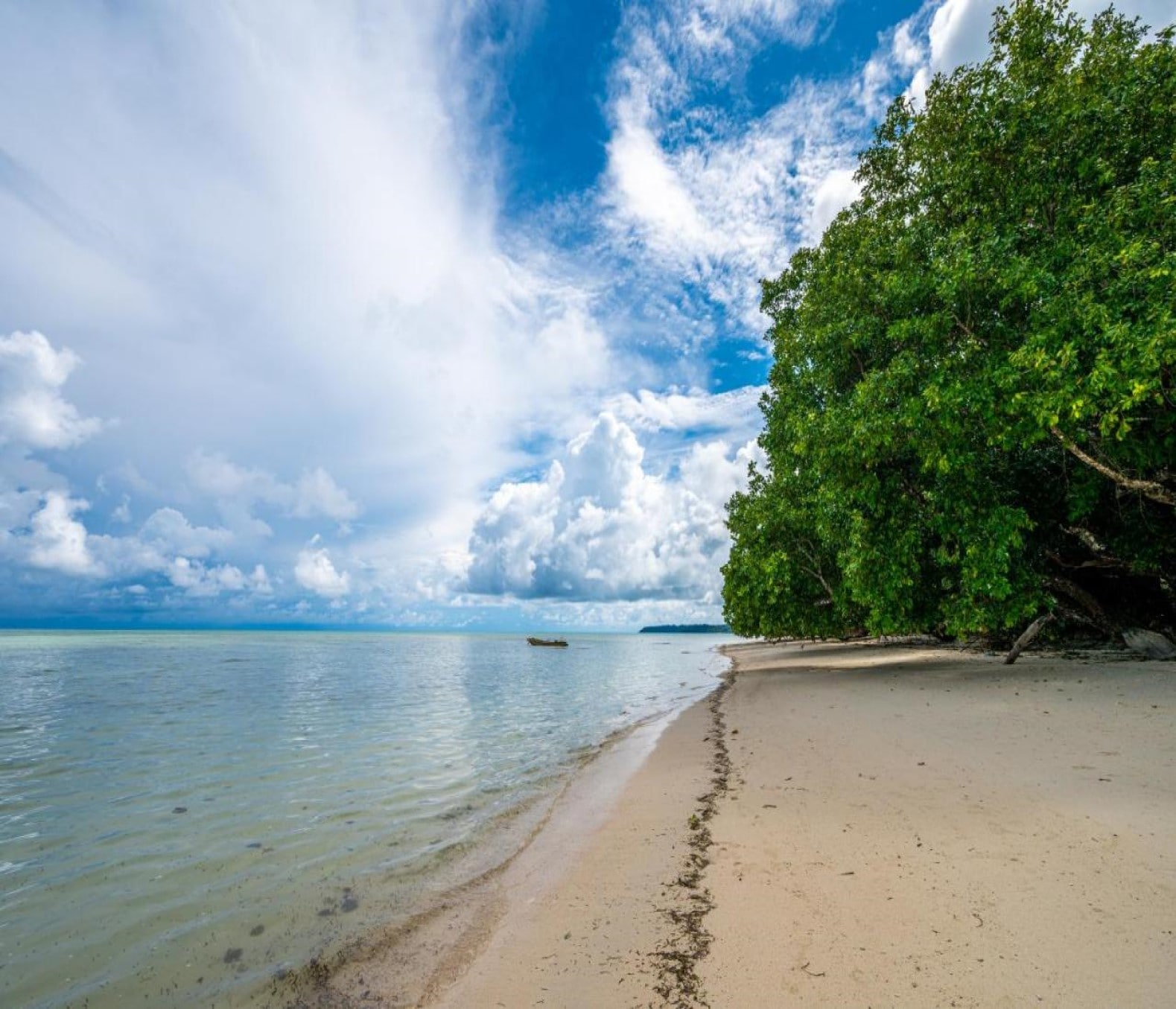 Green Wood Beach Resort - Tap to explore photos