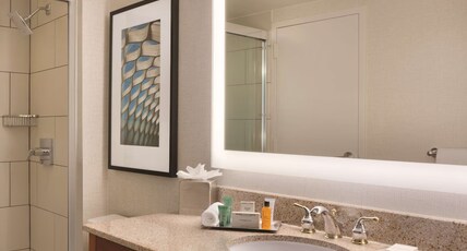 Hilton Chicago/Magnificent Mile Suites Room Type - 2 DBL BEDS 1 BEDROOM SUITE