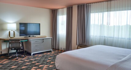 Holiday Inn MOBILE WEST - I-10 Room Type - 1 King Bed Standard