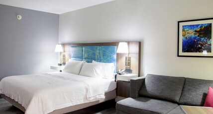 HAMPTON INN DANVILLE KY Room Type - 1 KING W  SOFABED NONSMOK