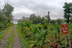 Cozy Nest backwater homestay