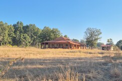 BaghinDhara: Stream of the Tigress