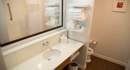 Hampton Inn & Suites by Hilton McKinney Room Type - 1 KING MICROWV FRIDGE NS