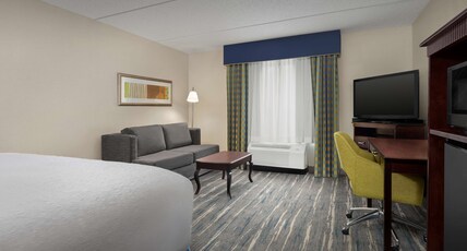Hampton Inn by Hilton Syracuse Clay Room Type - 1 KING STUDY SOFABED NOSMK