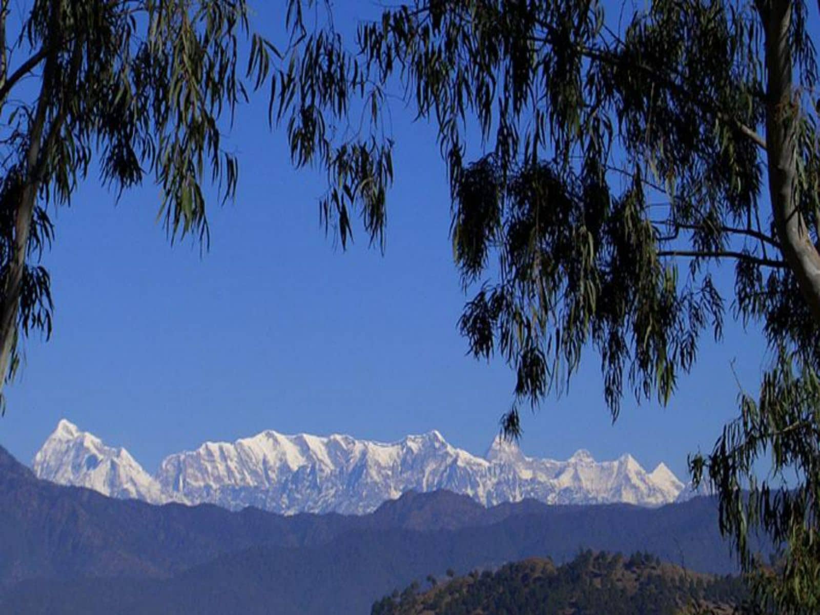 The Himalayan Vista, Ranikhet - Tap to explore photos
