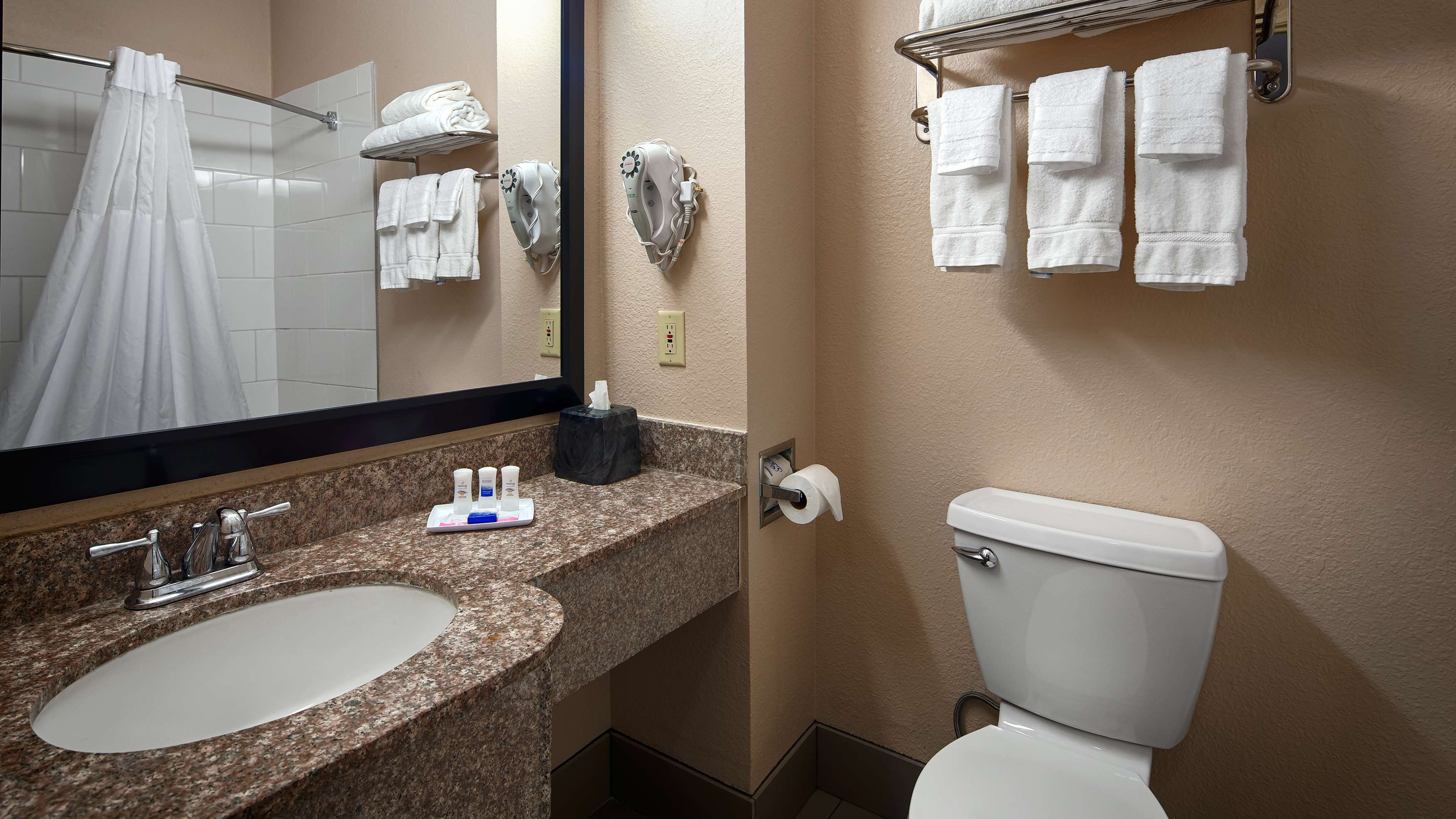 Best Western Plus Kalamazoo Suites - Tap to explore photos