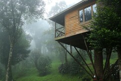 Nature Zone Munnar - A Real Jungle Resort - Authentic Tree House and Premium Tents