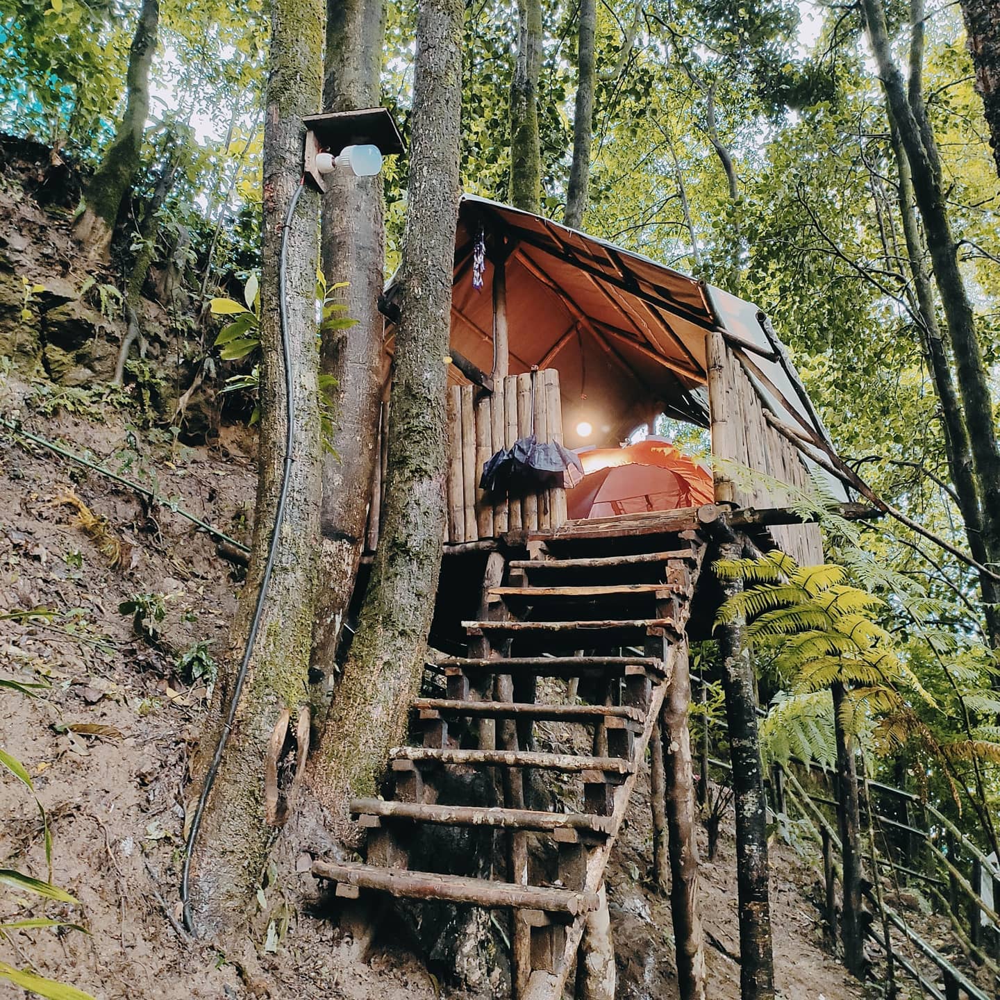 ECOPULSE - Tap to explore photos