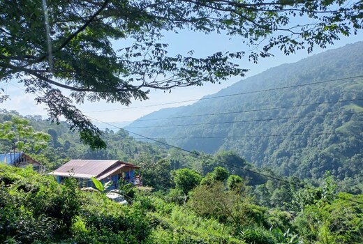 Damphu Homestay