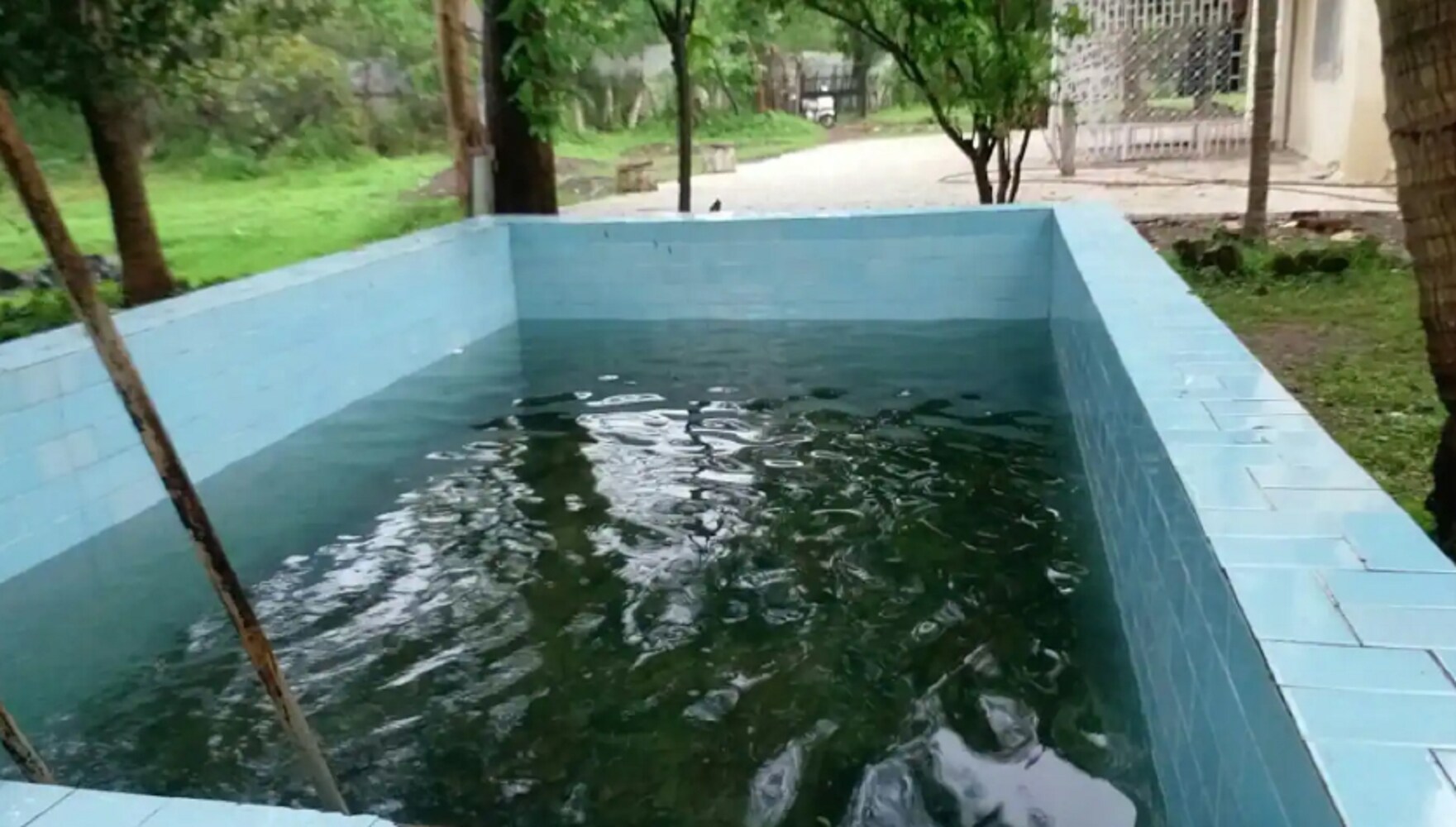 Beautiful Creation - Tap to explore photos