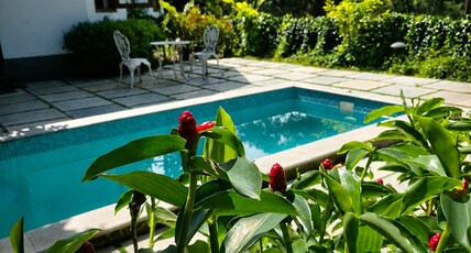 Nine Pines Luxury Resort Kuttikkanam Room Type - Rose Room with Plunge Pool