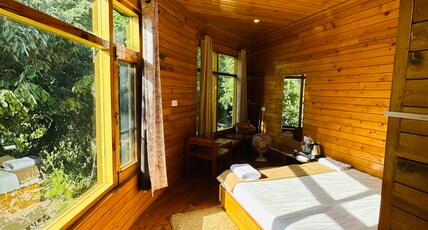 EDM Hostel Room Type - Jungle View Small Room