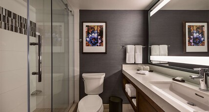 Embassy Suites by Hilton Scottsdale Resort Room Type - 1 KING PREMIUM SUITE