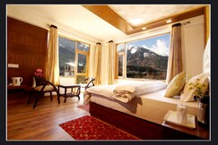 Pristine Inn Manali