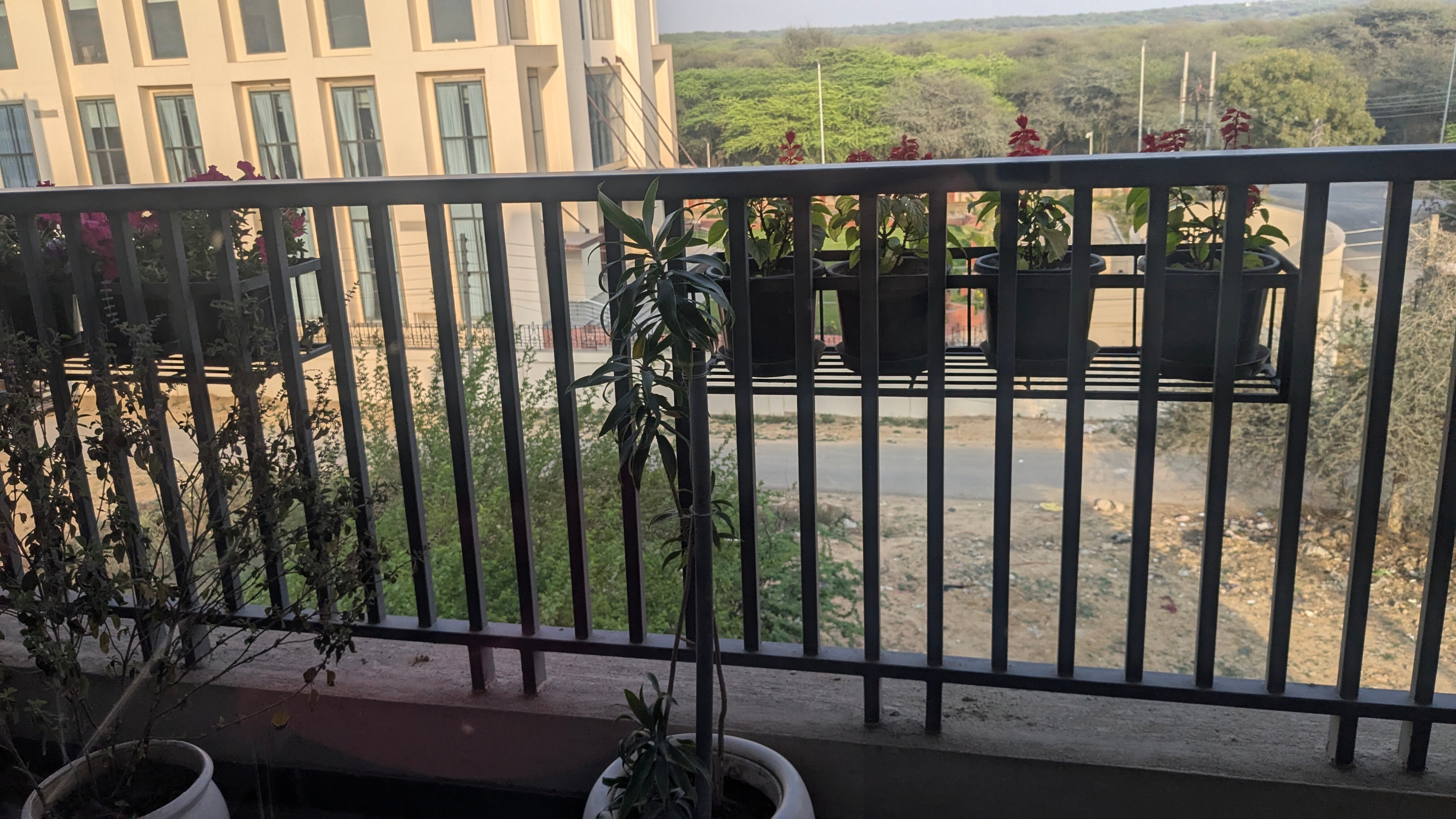 Ivy   1BHK  forest view  wi fi   big balcony - Tap to explore photos