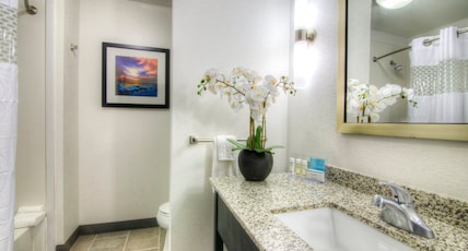 Hampton Inn by Hilton Houston I-10 East Room Type - 2 QNS HEARING ACC NOSMOK