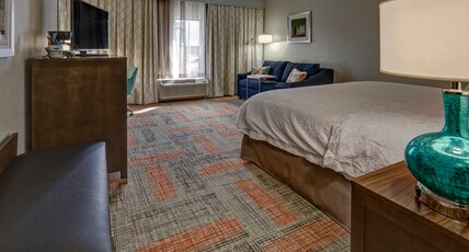 Hampton Inn Summerville SC Room Type - 1 KING SFBD W TUB NS