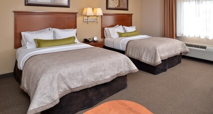 Candlewood Suites Williston, an IHG Hotel Room Type - 2 Qn Studio
