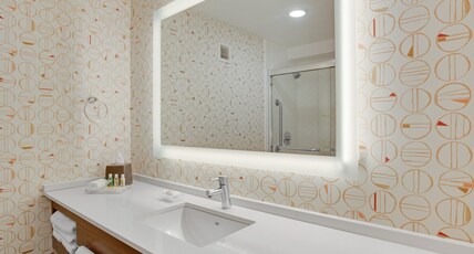 Holiday Inn ROANOKE - VALLEY VIEW Room Type - 1 King Standard Mobil Access Roll Shwr