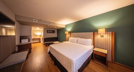 Holiday Inn Orizaba, an Ihg Hotel Room Type - 1 King Premium