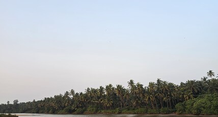 Vitamin Sea Shiriya Beach House Room Type - 1 BHK Suite Villa
