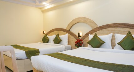 Treebo Hillway Inn Main Market Room Type - Superior Room