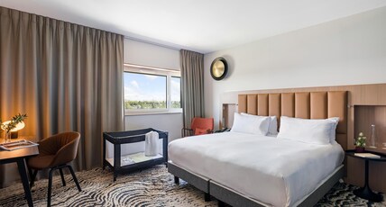 DoubleTree by Hilton Lyon Eurexpo Room Type - KING SUPERIOR ROOM W VIEW