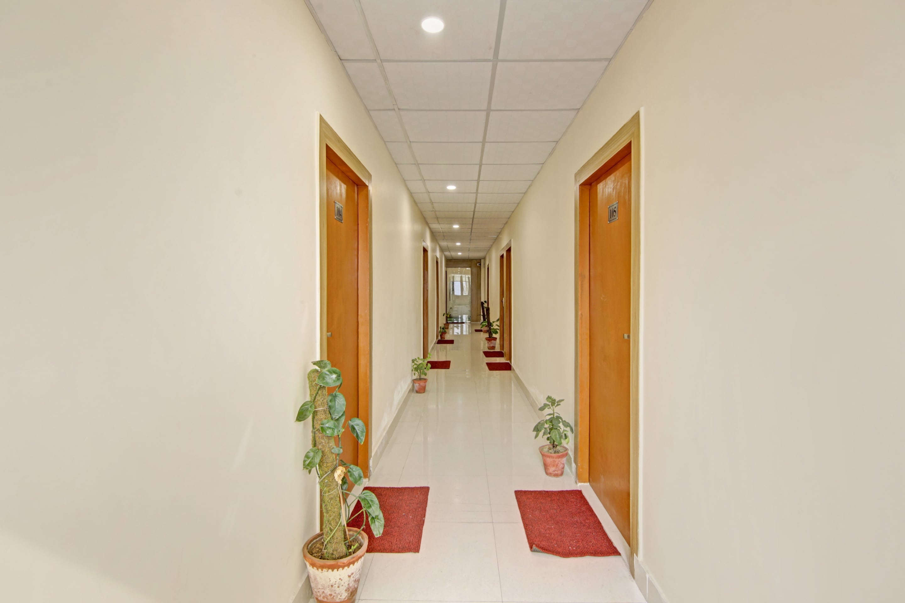 Main gallery