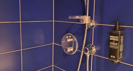 ibis Styles Boleslawiec Room Type - Standard Room with 1 double bed