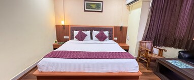 Hotel Arya Palace 