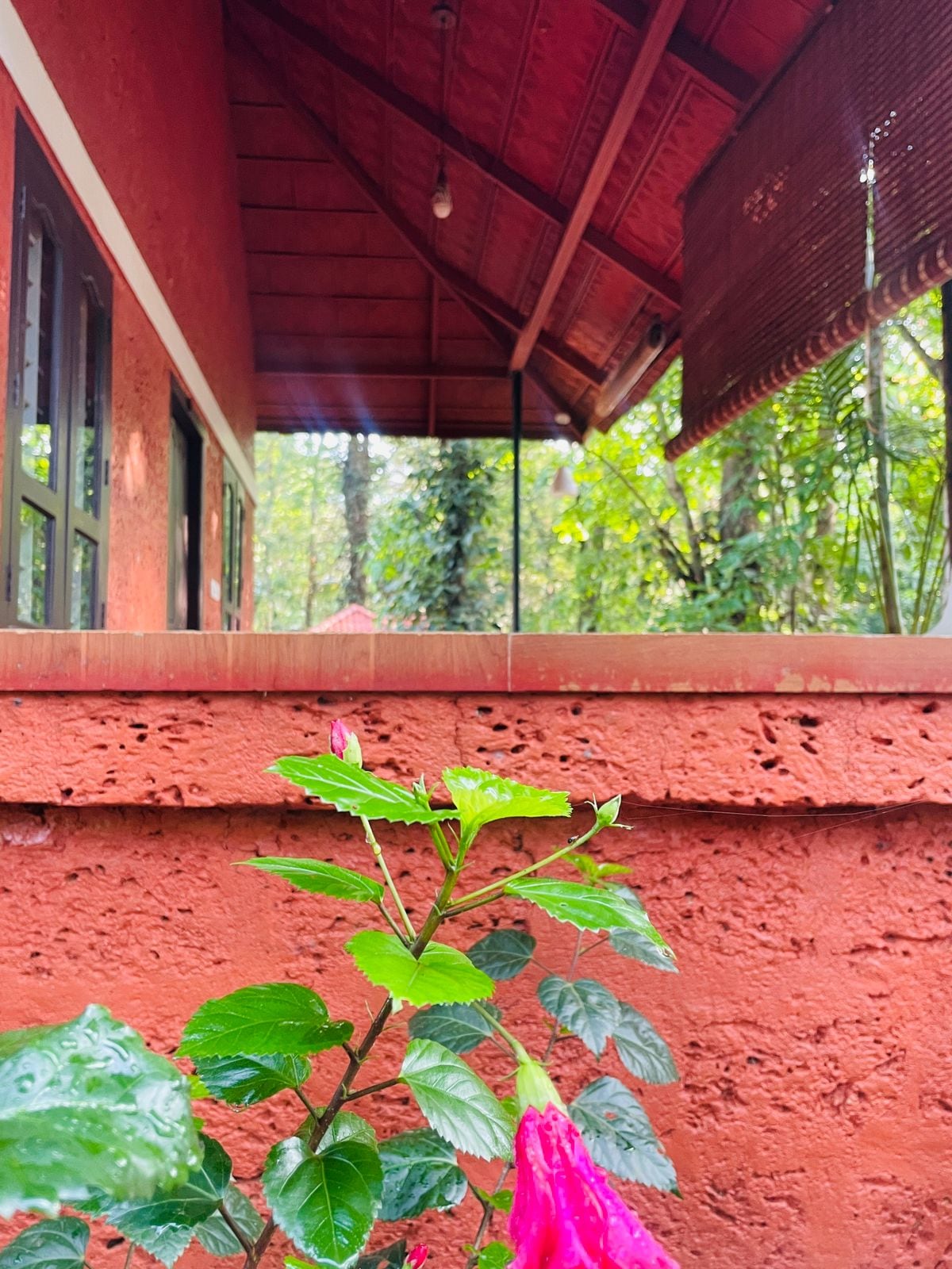 Tree Top Resort to Tree Top Resort Near Silent Valley - Tap to explore photos