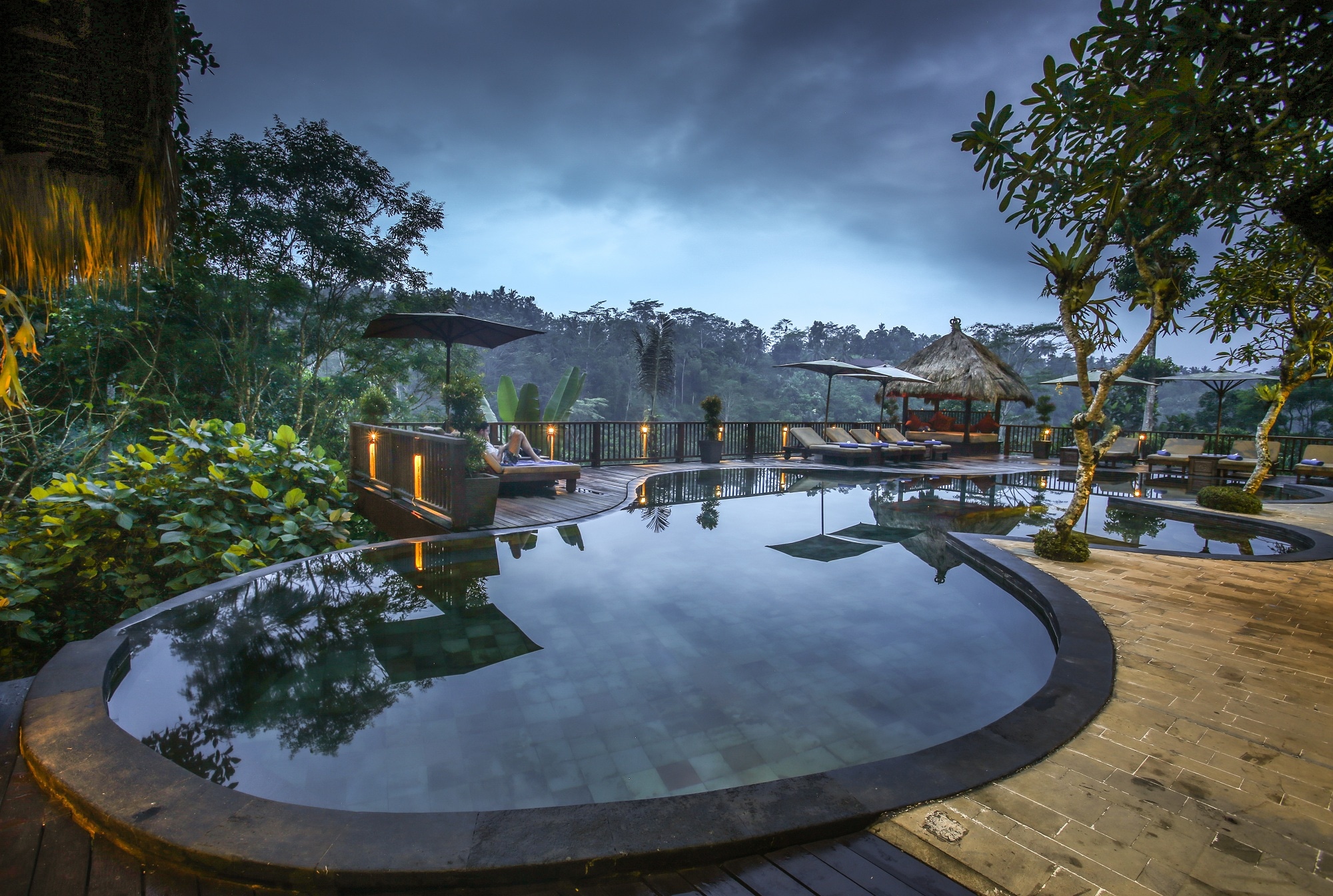 Nandini Jungle by Hanging Gardens - Tap to explore photos